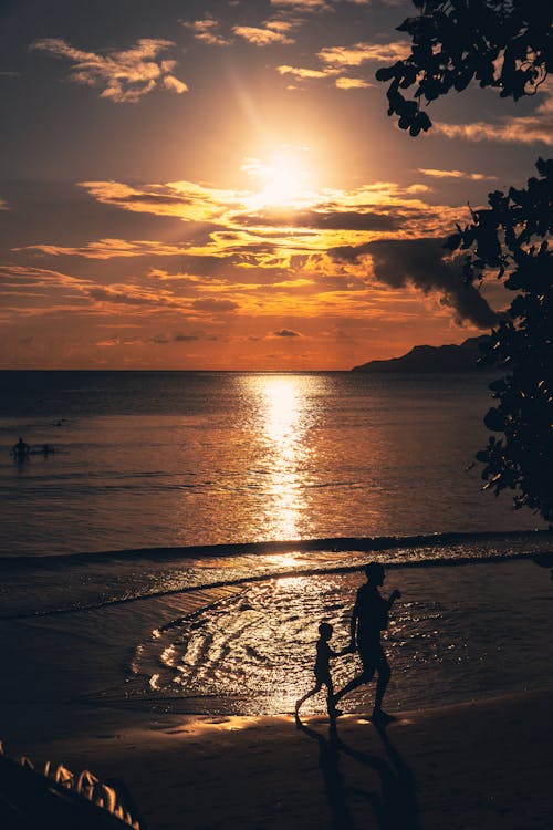 Silhouette of People Walking on the Beach during Sunset