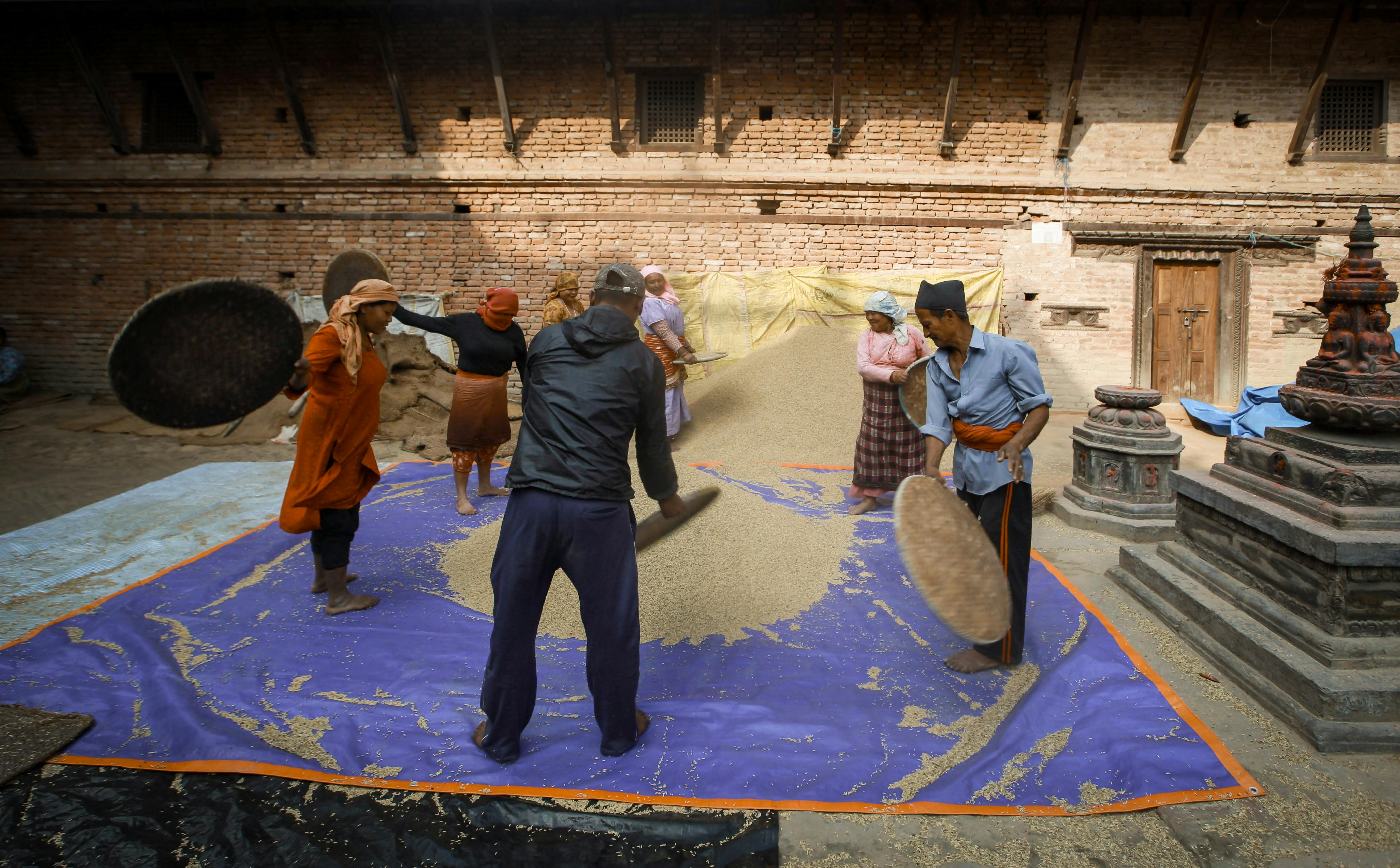 How much rice should I stockpile?