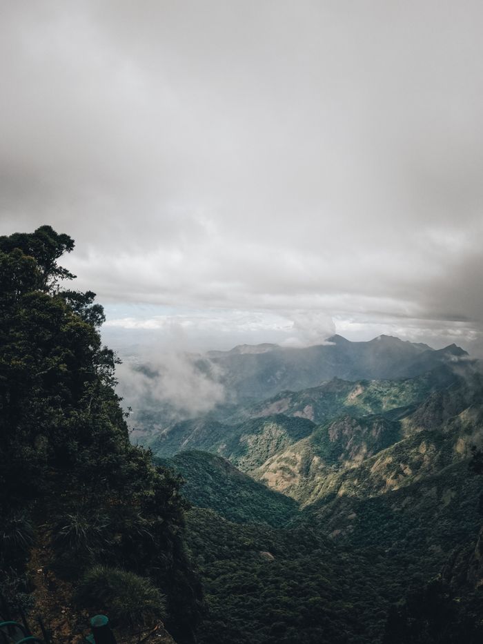 Mist-covered mountains in Kodaikanal with lush greenery
