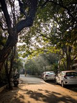 Quiet tree-canopied street with parked cars in Hyderabad