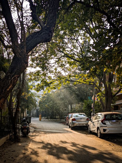 Free A quiet street in Hyderabad, India, with parked cars under a canopy of trees in warm sunlight. Stock Photo
