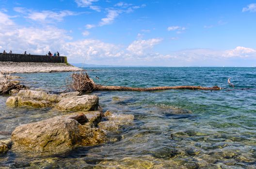 Beautiful shoreline with driftwood and rocks at Lindau Bodensee, Germany under a clear blue sky.