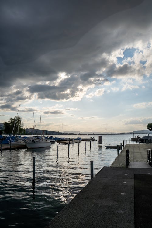 Boats Docked in a Marina