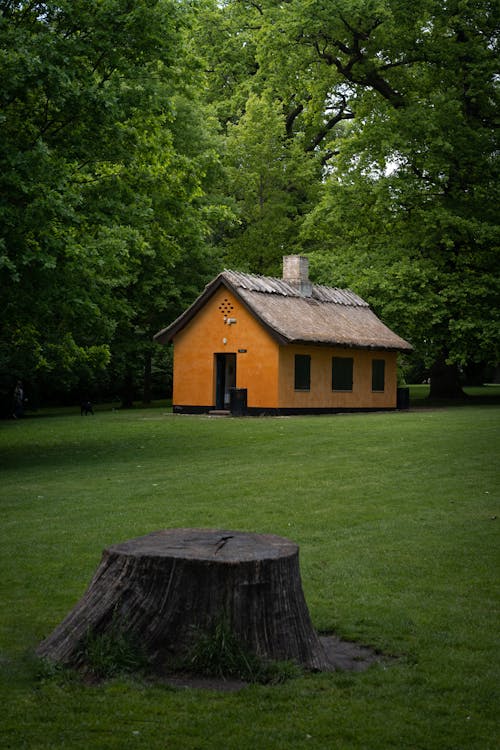 Orangefarbenes Haus In Einem Wald