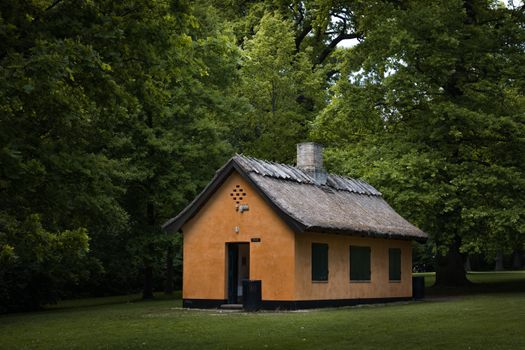 Orange house in a forest