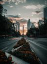 Sunset Visible Between Skyscrapers 