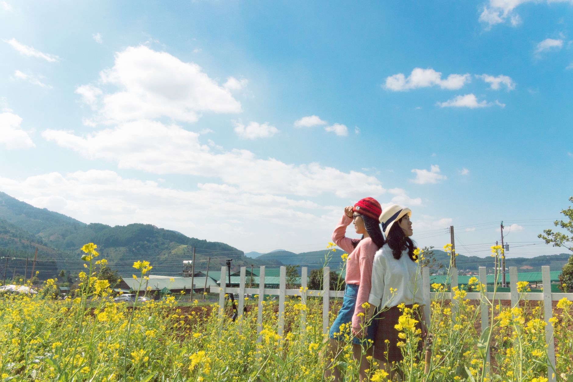 Two women stand by a fence in a yellow flower field, enjoying a sunny rural day.
