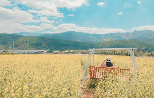 Woman Sitting on Bench Facing Green Field