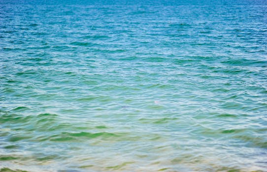 明亮的蓝天下，平静的海浪轻轻泛起涟漪，传达着宁静而广阔的气息