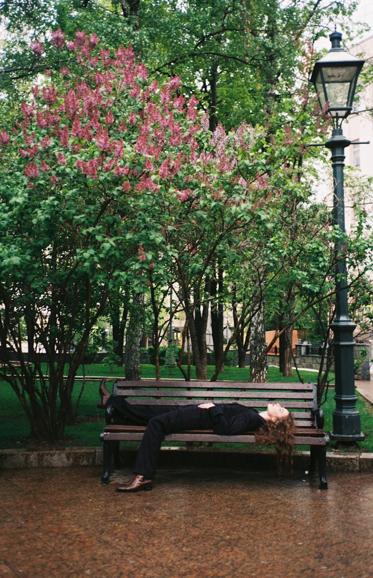 Woman Lying Down On Bench In Park