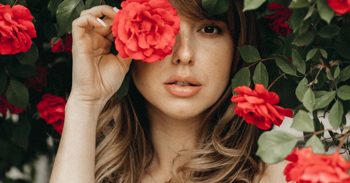 How to prune dead roses in summer