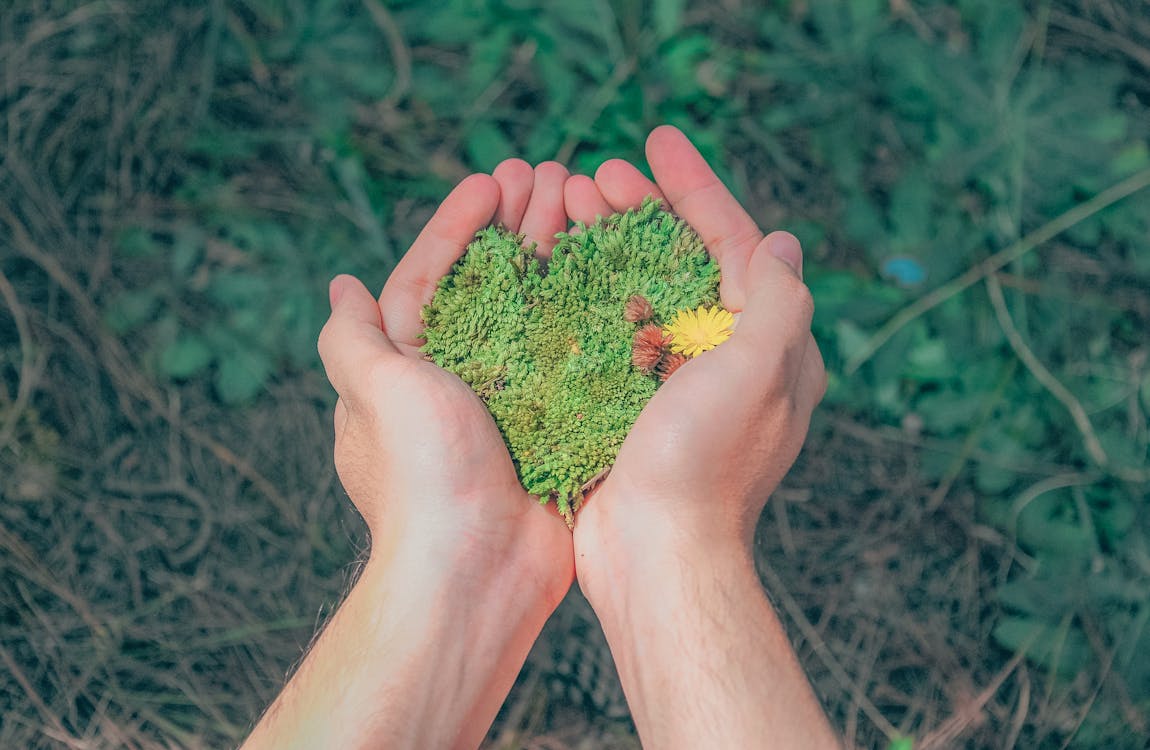 Free Person Holding Green Grains Stock Photo
