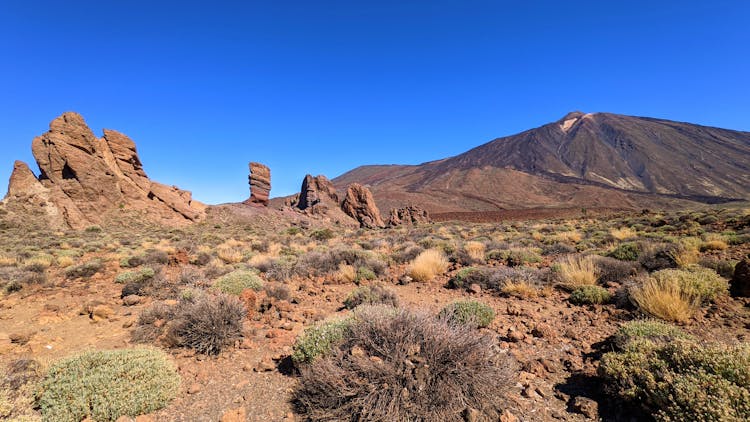 Barren Landscape With Mountain