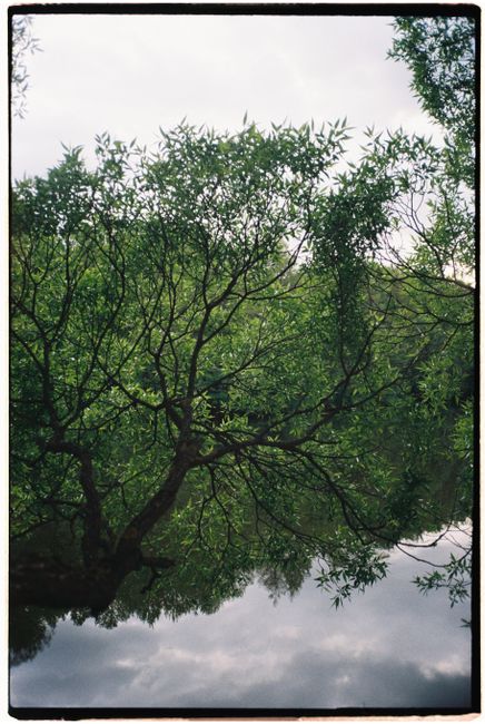 A peaceful river scene with lush green trees reflected in calm water.