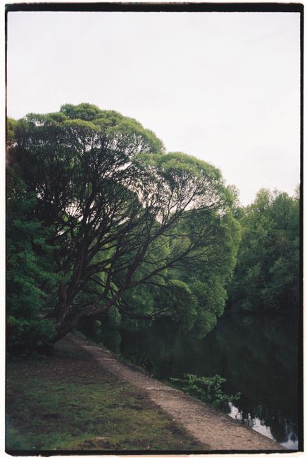 Tranquil river scene featuring lush trees reflected in calm water on a peaceful day.