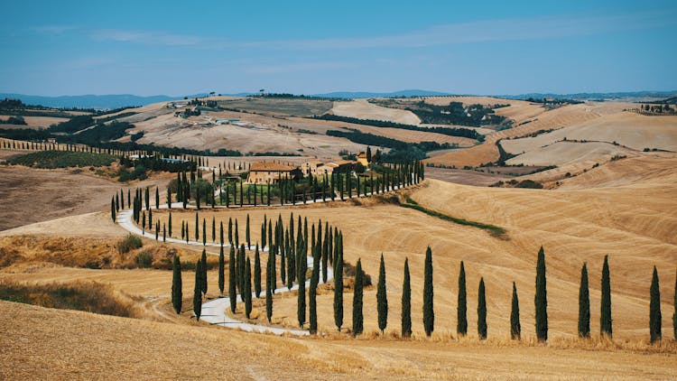 Scenic Summer Landscape Of Val D’Orcia