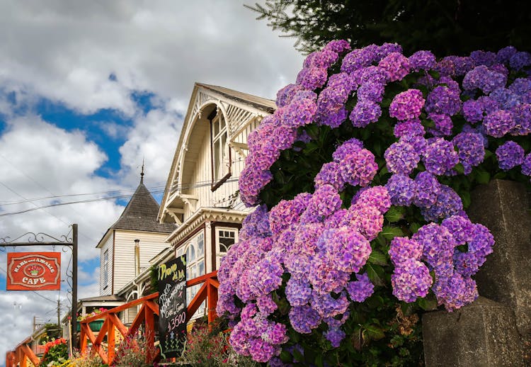 Bush With Purple Flowers And Wooden Cottages In Perspective