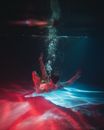 Dived Images