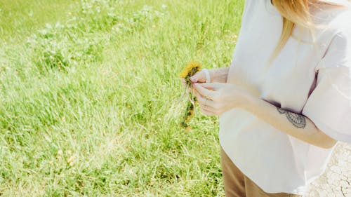 Kostnadsfri bild av blomkrona, grönt gräs, händer