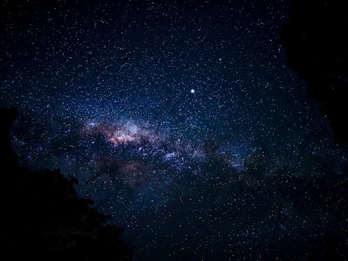 Starry Night over the Trees