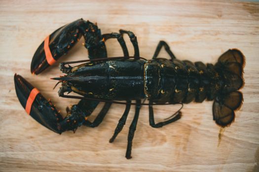 Close-up of a fresh lobster on a wooden surface, ideal for culinary and seafood themes.