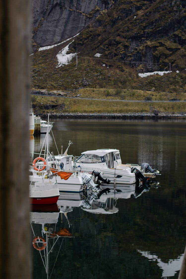 Boats In A Harbor