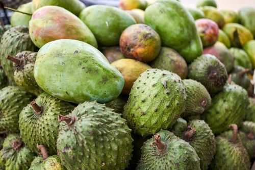Free A vibrant close-up of fresh mangoes and soursop fruits showcasing their textured surfaces. Stock Photo