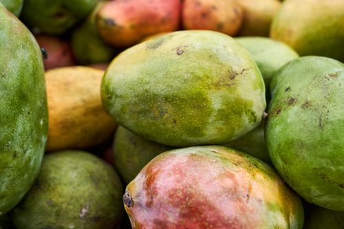 Free Vibrant and ripe green mangoes piled together showcasing tropical freshness. Stock Photo