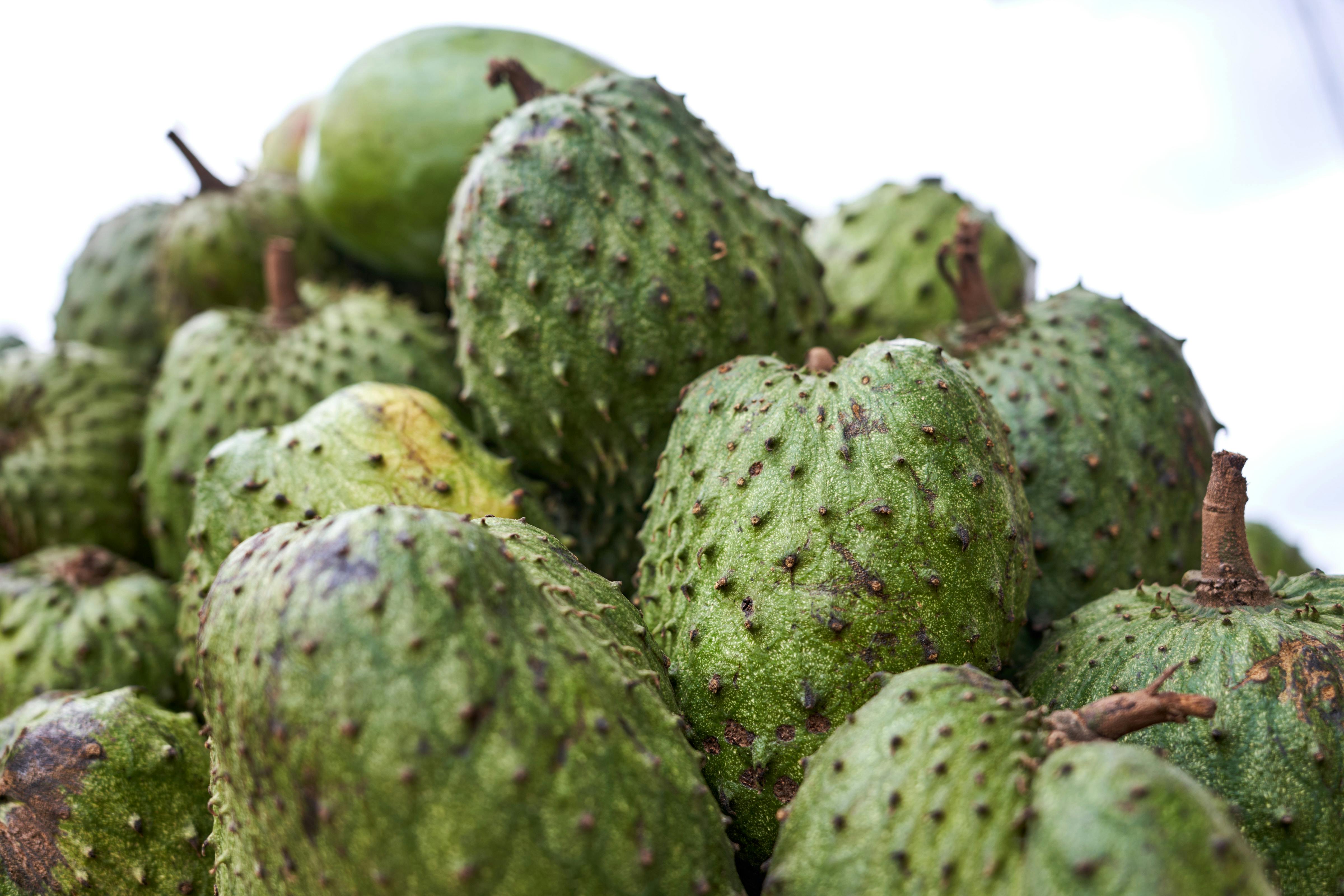 50+ Fruits Names 28 soursop fruit immunity and anti inflammatory benefits