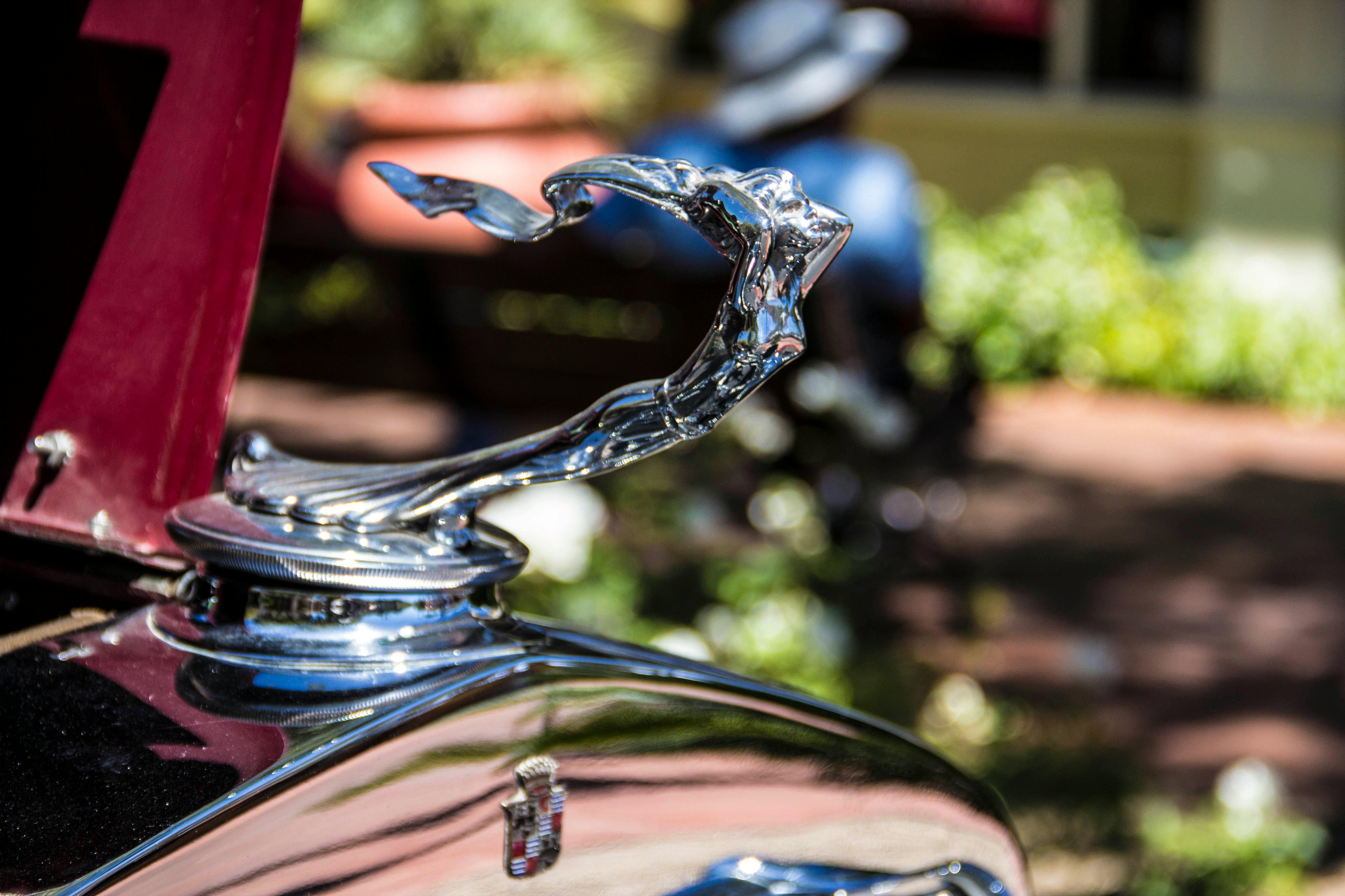 Free stock photo of cadillac, hood ornament, red