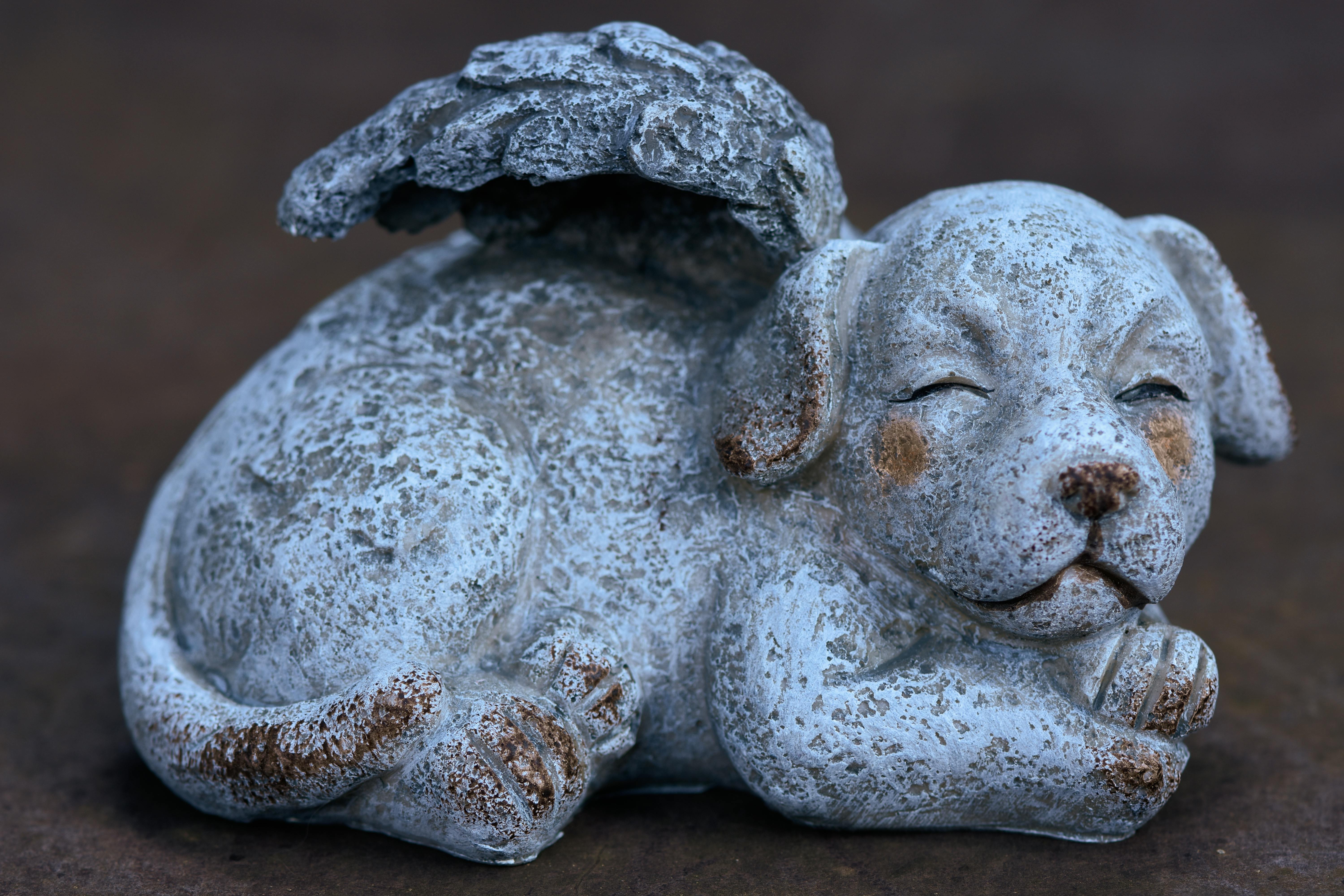 Close-up of a stone dog angel sculpture with wings, conveying a serene and peaceful atmosphere.