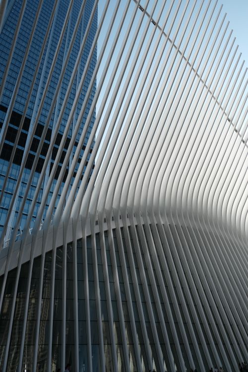 Free Dynamic view of the Oculus structure in New York City showcasing modern architectural design. Stock Photo