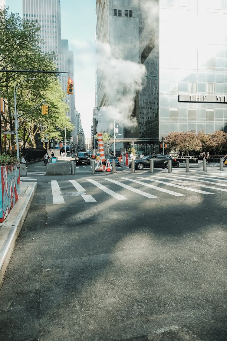 Pedestrian Lane On Road Near Stoplight