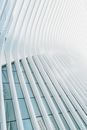 White Concrete Building