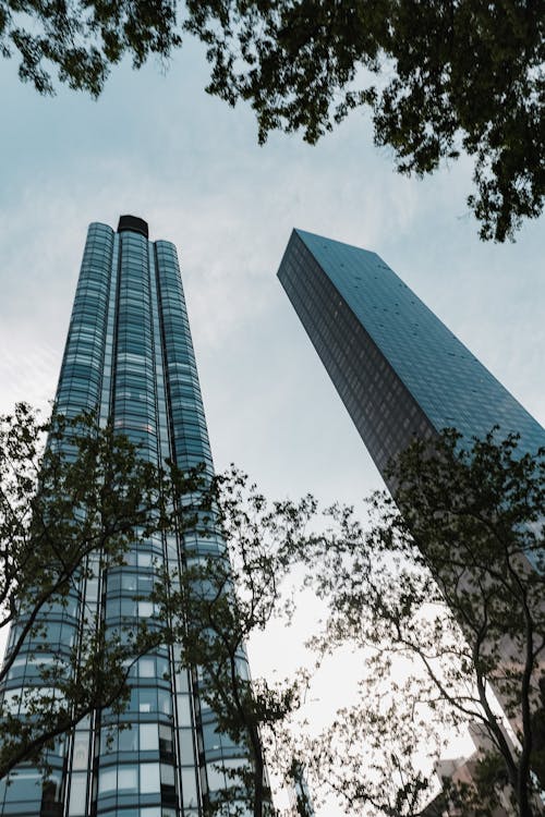 Low Angle Shot of High-rises Buildings 