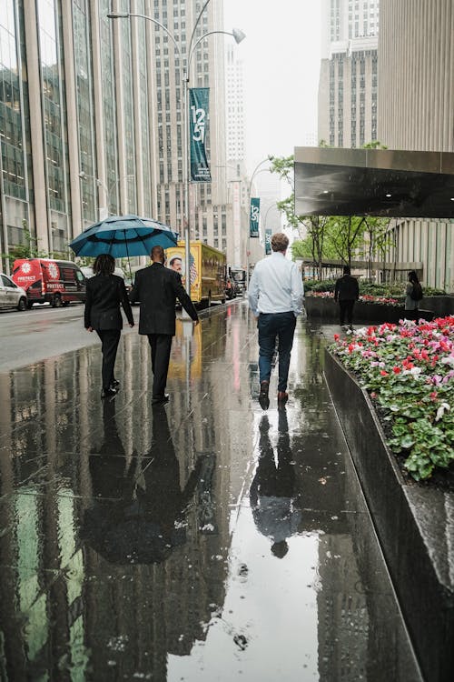 Back View of People Walking on Sidewalk during Rainy Day