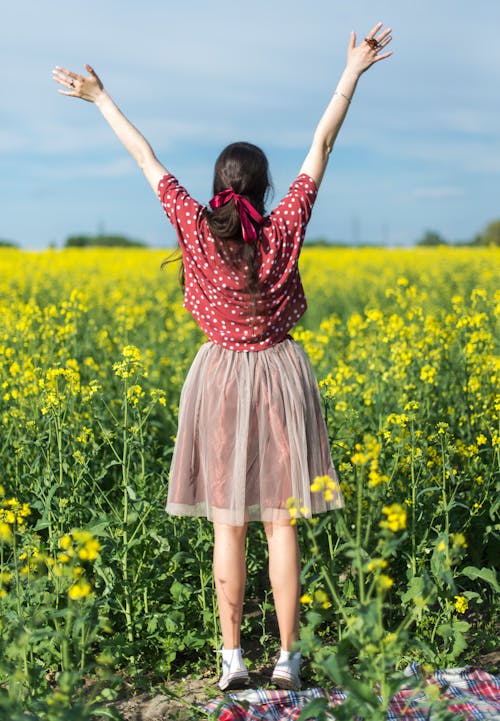 Immagine gratuita di braccia alzate, campo, donna