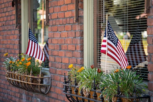 US Flags on Flower and Green Plants