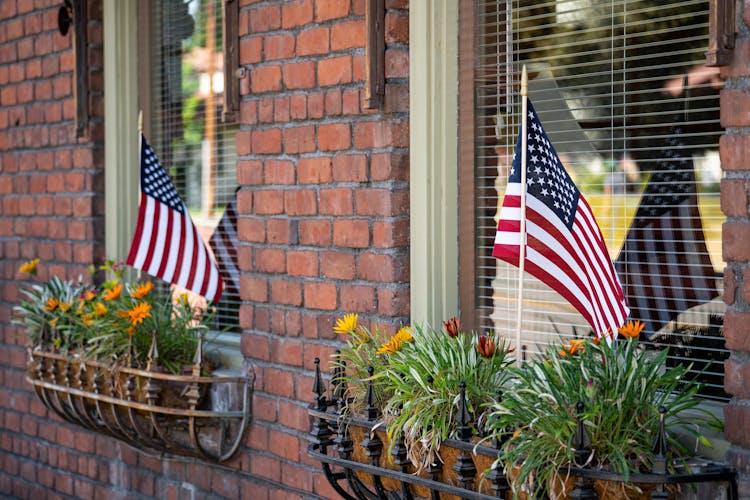 US Flags On Flower And Green Plants