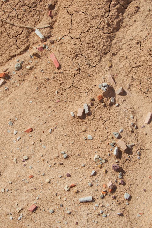 Brown Soil in Close Up Shot