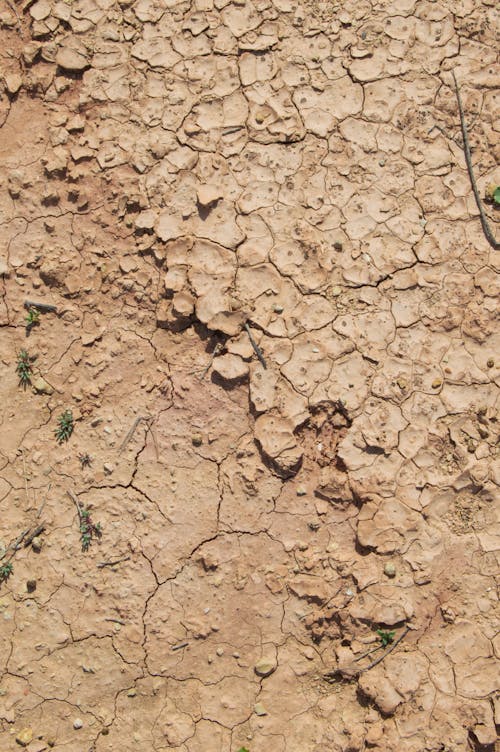 Close-Up Shot of a Dry Sand in the Desert
