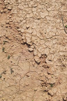 A close-up view of arid cracked soil in Alacant, Spain, showcasing desert-like dry conditions.