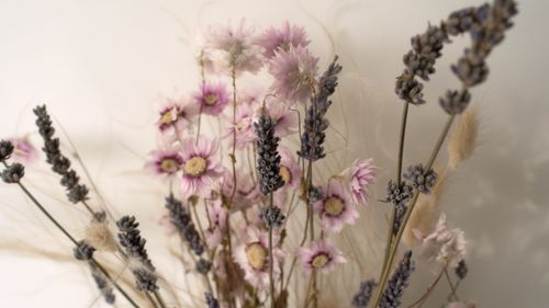 Free A close-up capture of a delicate bouquet with purple lavender and pink flowers on a soft white background. Stock Photo