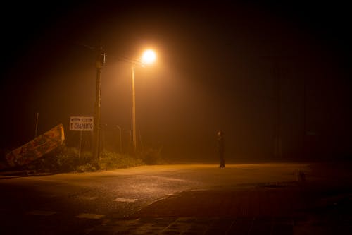 Person standing near a Street Light 