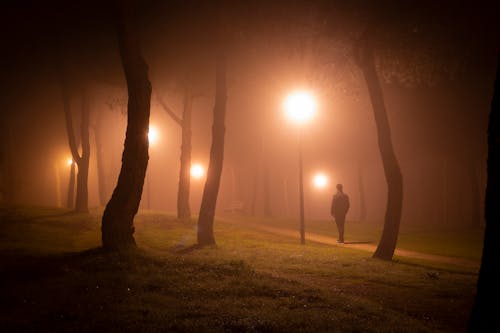 Free Man Standing in Public Park on Foggy Night  Stock Photo