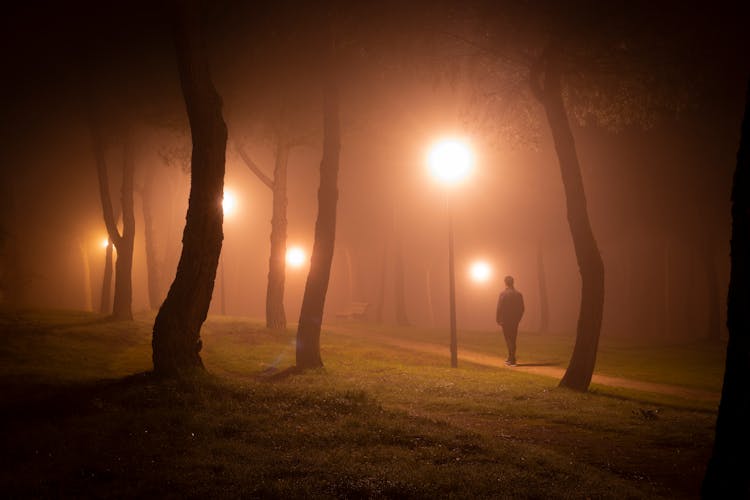 Man Standing In Public Park On Foggy Night 