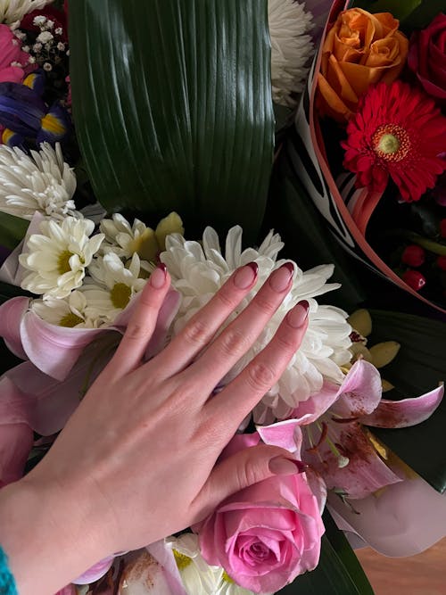 Free Close-Up Shot of a Person Touching the Blooming Flowers Stock Photo