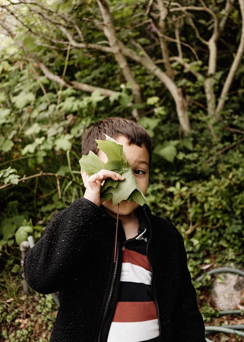 A Boy Holding Green Leaf
