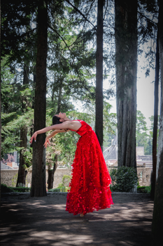 Graceful dancer in vibrant red dress performing a ballet pose in a scenic outdoor setting in Mexico.