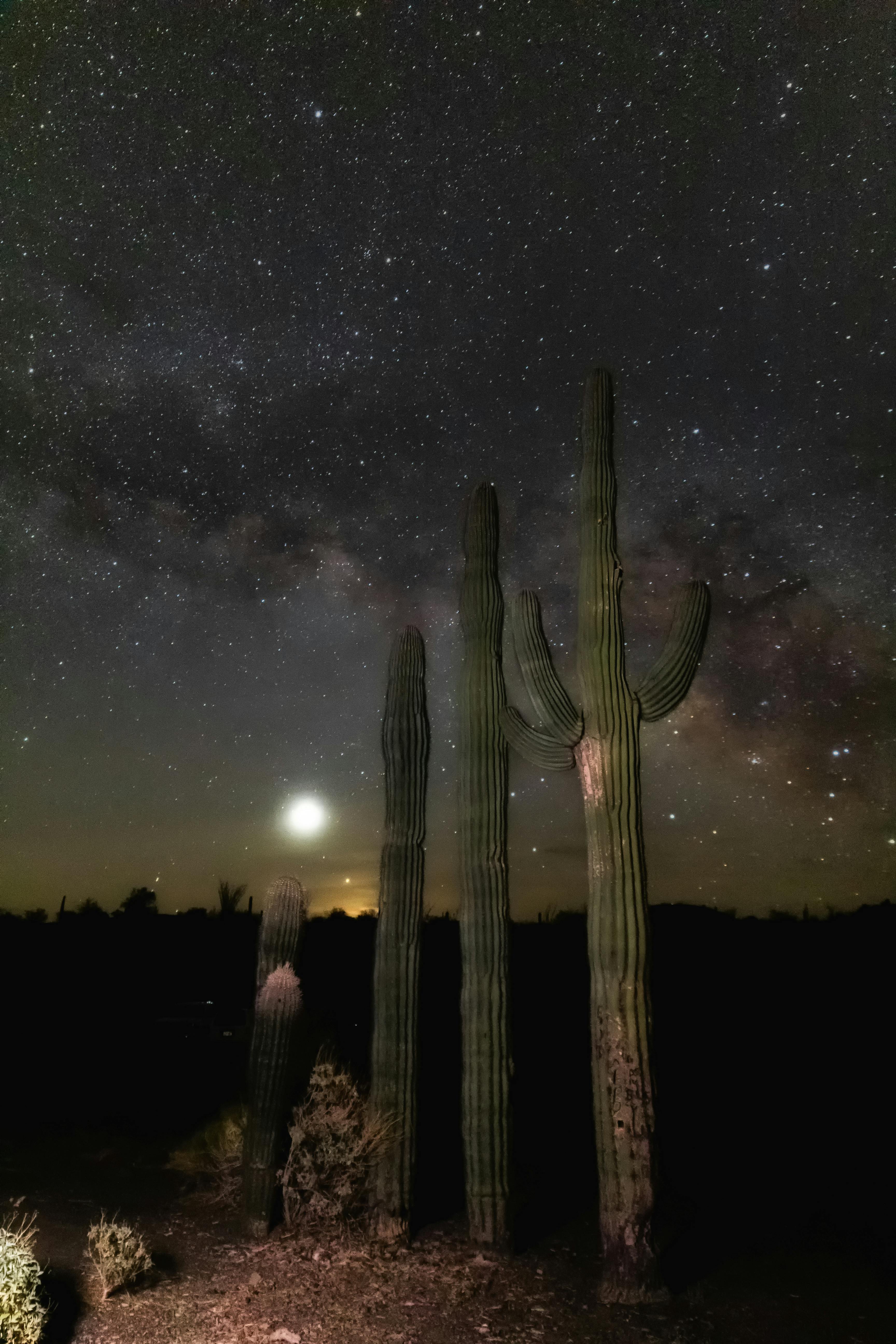 Milky Way night sky stargazing in Arizona desert Saguaro National Park